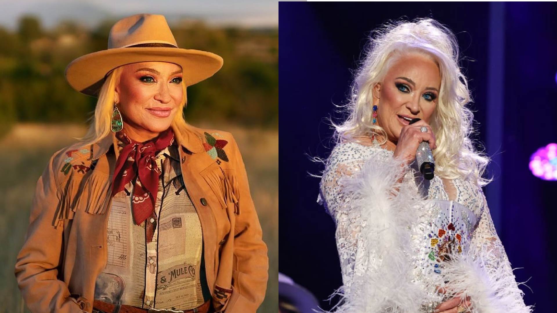 tanya tucker net worth